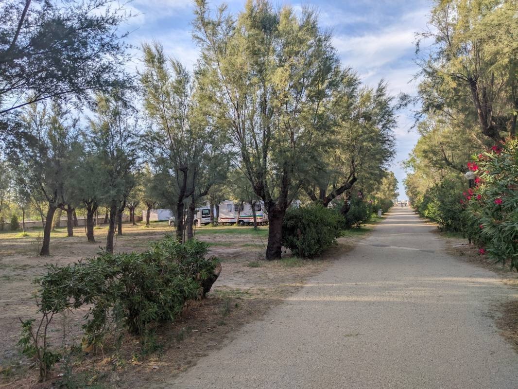 Camping Village Centro Vacanze Molise — 露营地 in Montenero di Bisaccia