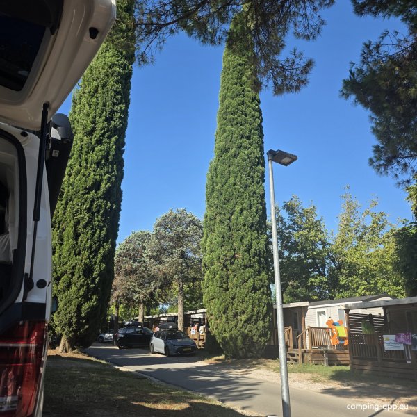 Campeggio Bella Italia — Foto 3