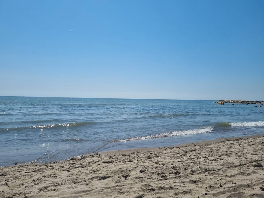 Rosapineta Camping Village — Kemp in Rosolina Mare
