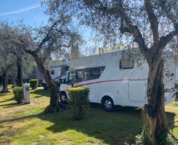 Camping Serenella — Photo 3