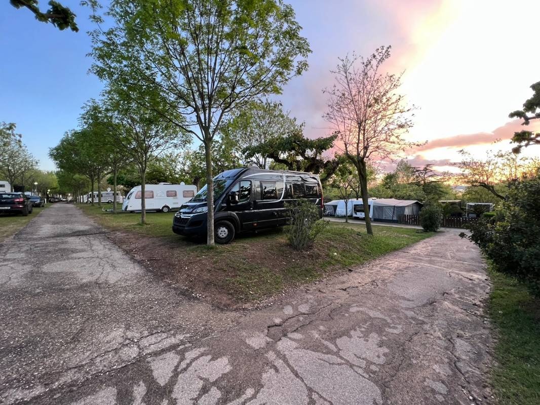 Camping Spiaggia d'Oro — Camping Site in Lazise