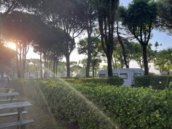 Al Boschetto Camping Village — Photo 6