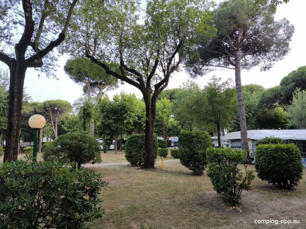 Al Boschetto Camping Village — Foto 6