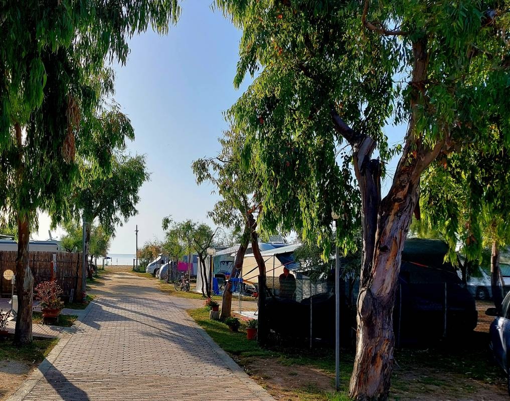 Camping Adriatico — Cámping in Vieste