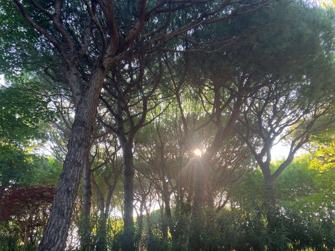 Malibù Beach Camping Village — Area da campeggio in Jesolo