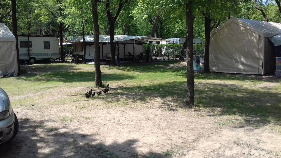 Camping Darisi — Campingplatz in Cavallino Treporti