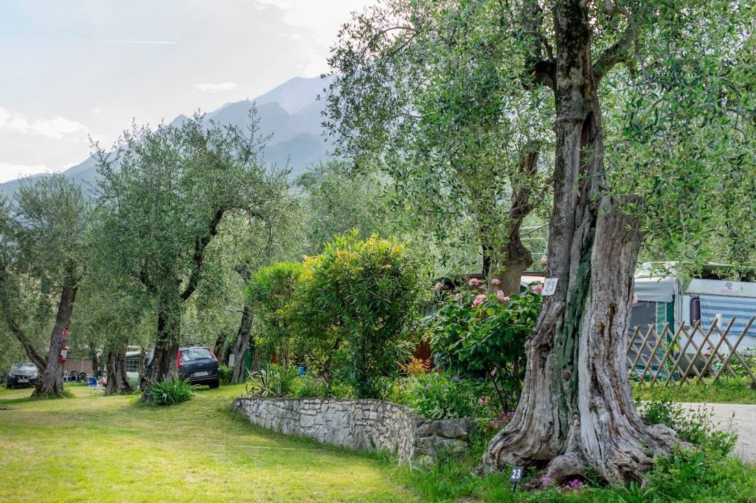 Camping Monja — Cámping in Porto di Brenzone