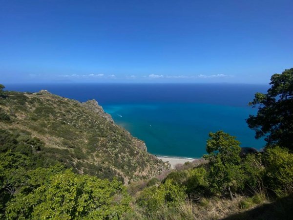 Camping Amici di Lazise — Photo 3