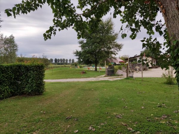 Agrioasi Camping — Photo 2