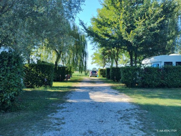 Agrioasi Camping — Foto 6