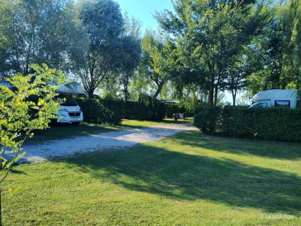 Agrioasi Camping — Foto 5