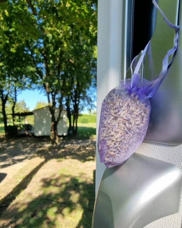 Camping Vicenza — Photo 4