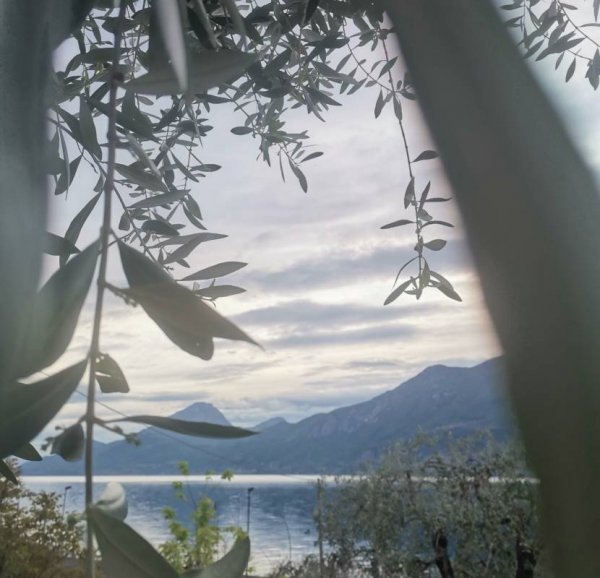 Camping Primavera — Photo 3