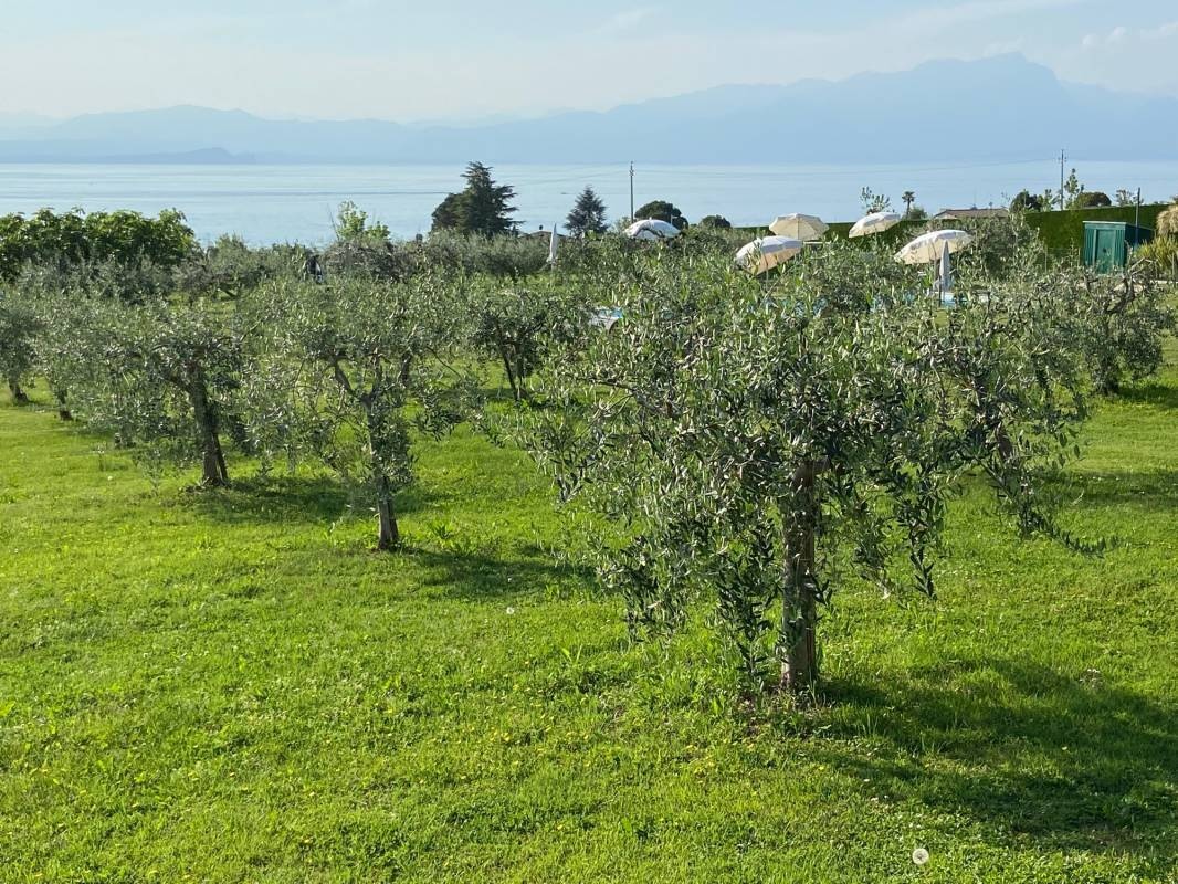 Agricamping Al-Bor — Campingplass in Pacengo