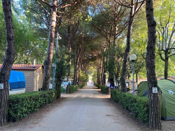 Camping Silva — Foto 4
