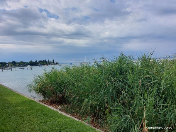 Camping Comunale S. Nicolò — Photo 3