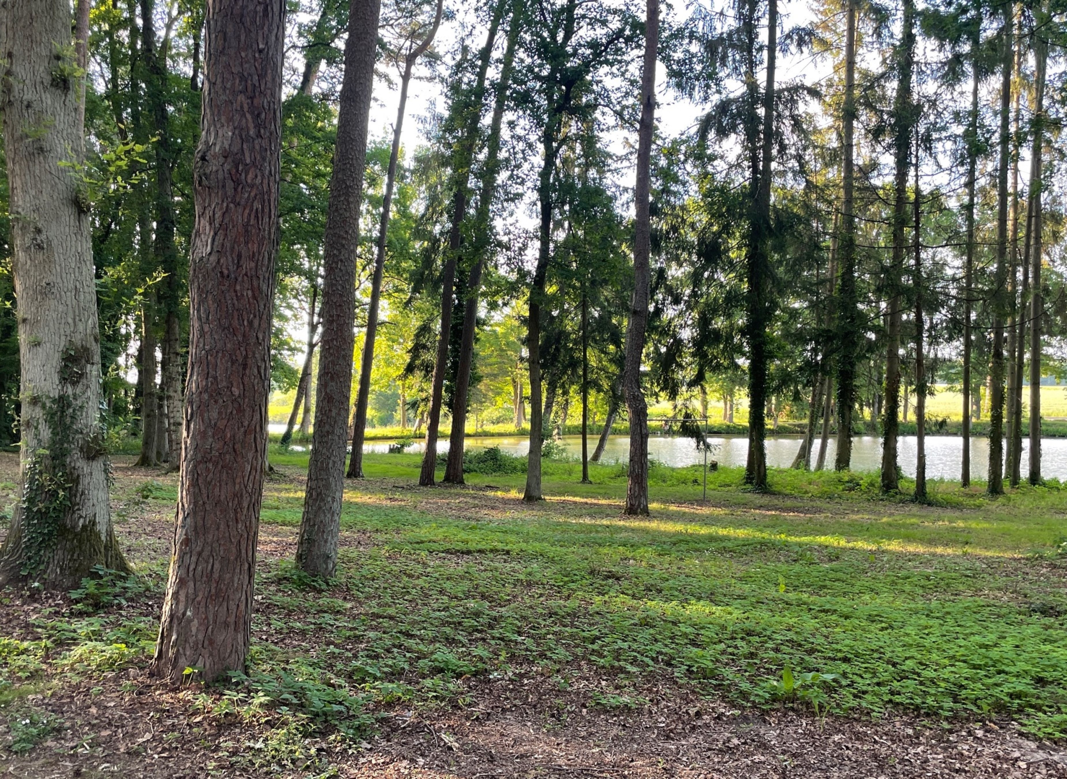 Campingplatz Eichensee — Kamp yeri in Langenzenn
