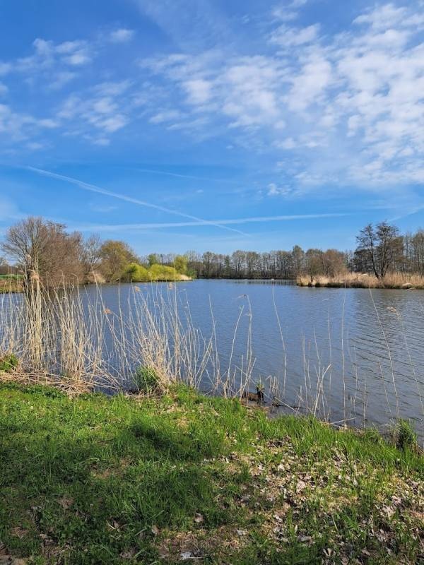 Campingplatz Camp am Waldesrand — Kamp yeri in Brietlingen