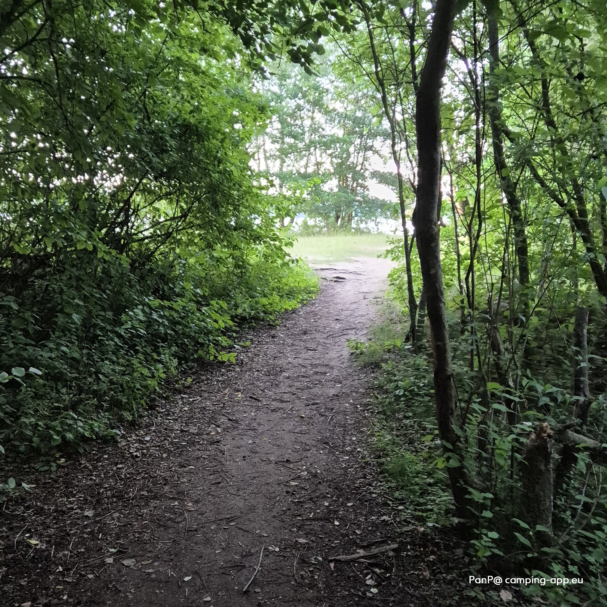 SeeCamping Langlau — Foto 4