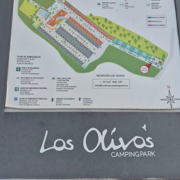 Los Olivos Camping Park — Foto 2