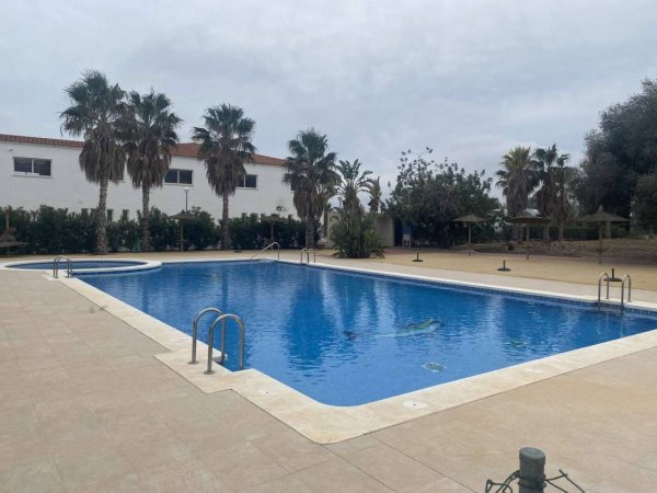 Los Olivos Camping Park — Photo 5