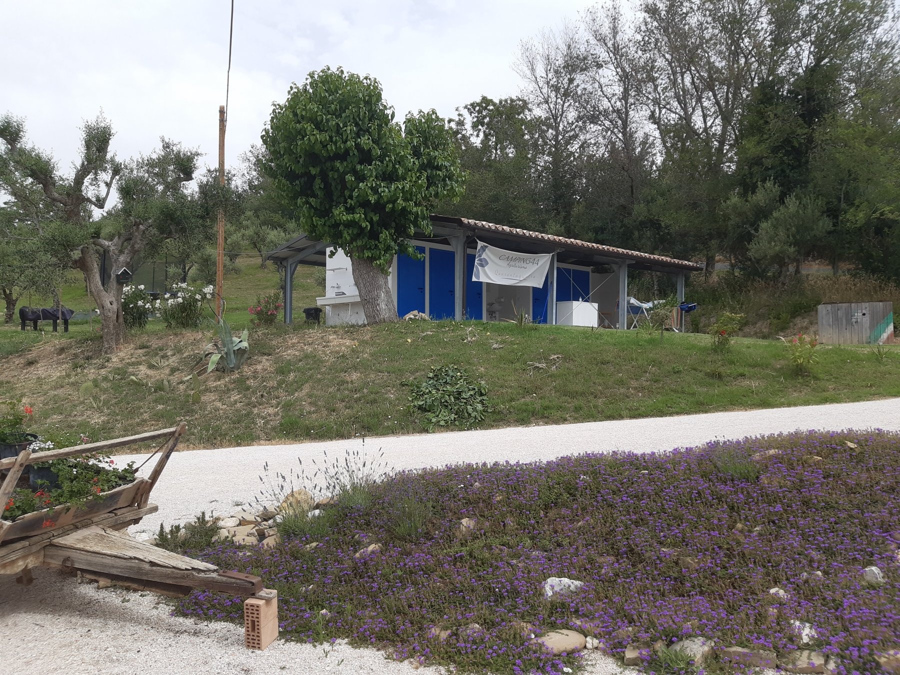 Camping44 — Kemp in Loro Piceno