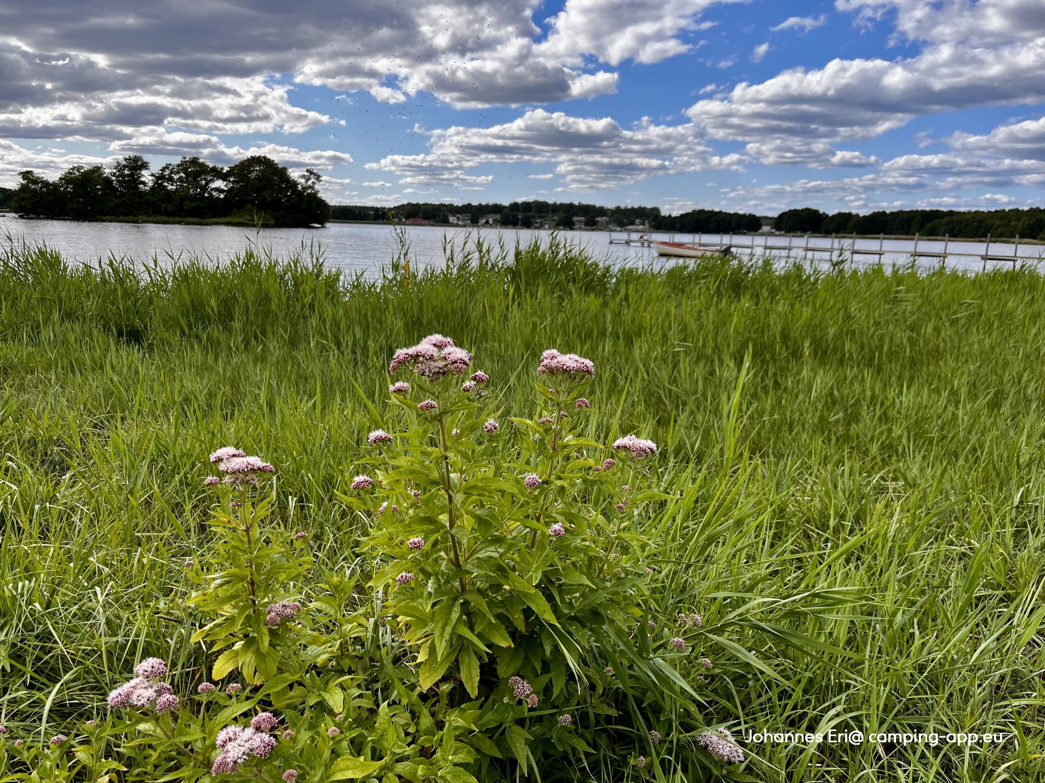 Valjevikens Camping — Foto 2