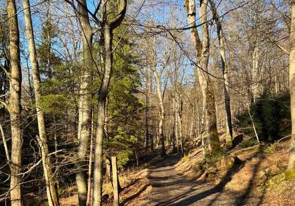 Camping in Landsberg am Lech — Foto 6