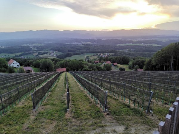 Naturparkcamping Sausalerland — Photo 4