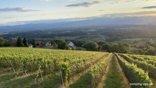 Naturparkcamping Sausalerland — Foto 2