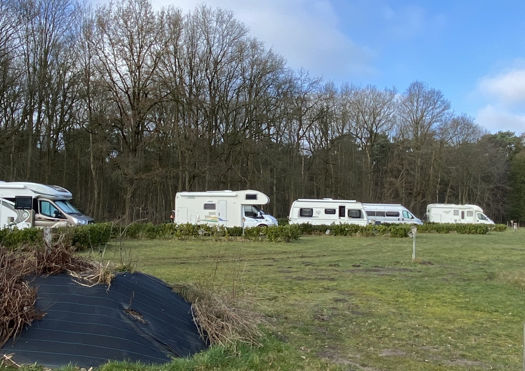 De. Groene linden — QuickStop in Brecht