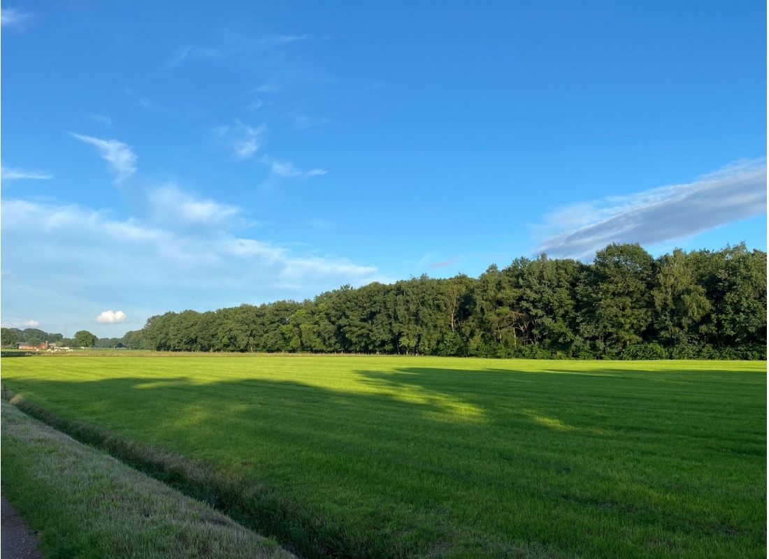 De. Groene linden — QuickStop in Brecht