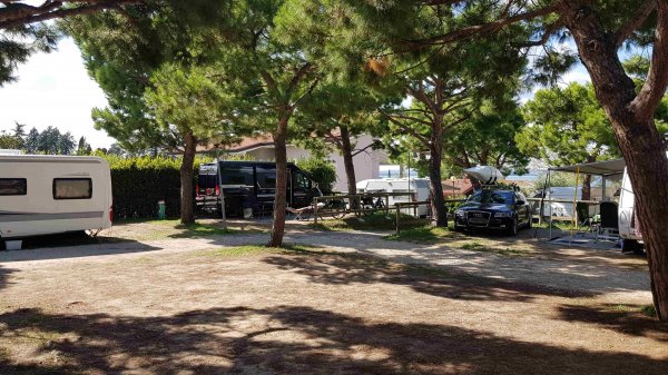Le Palme Camping *** — Photo 6