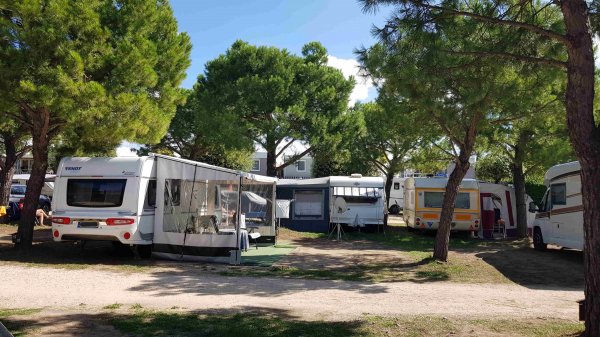 Le Palme Camping *** — Photo 4
