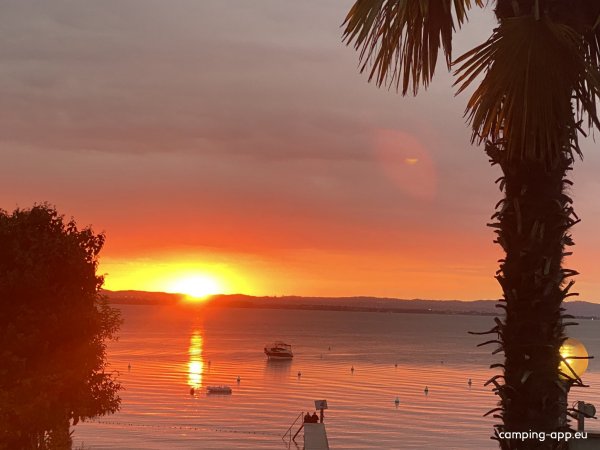 Le Palme Camping *** — Foto 2