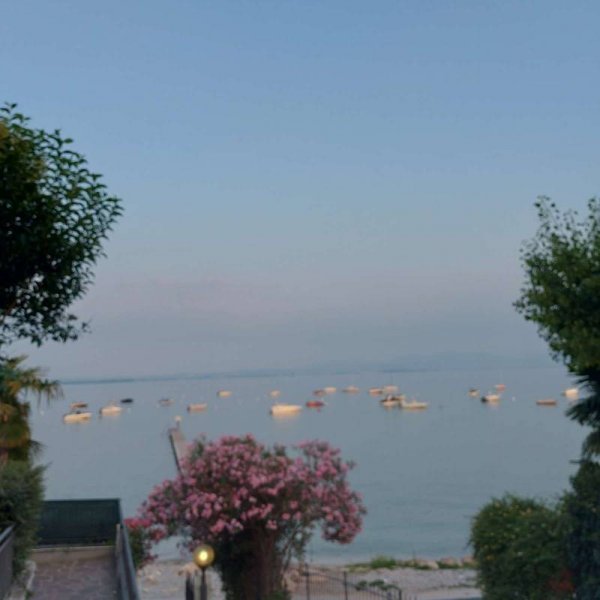 Le Palme Camping *** — Foto 4