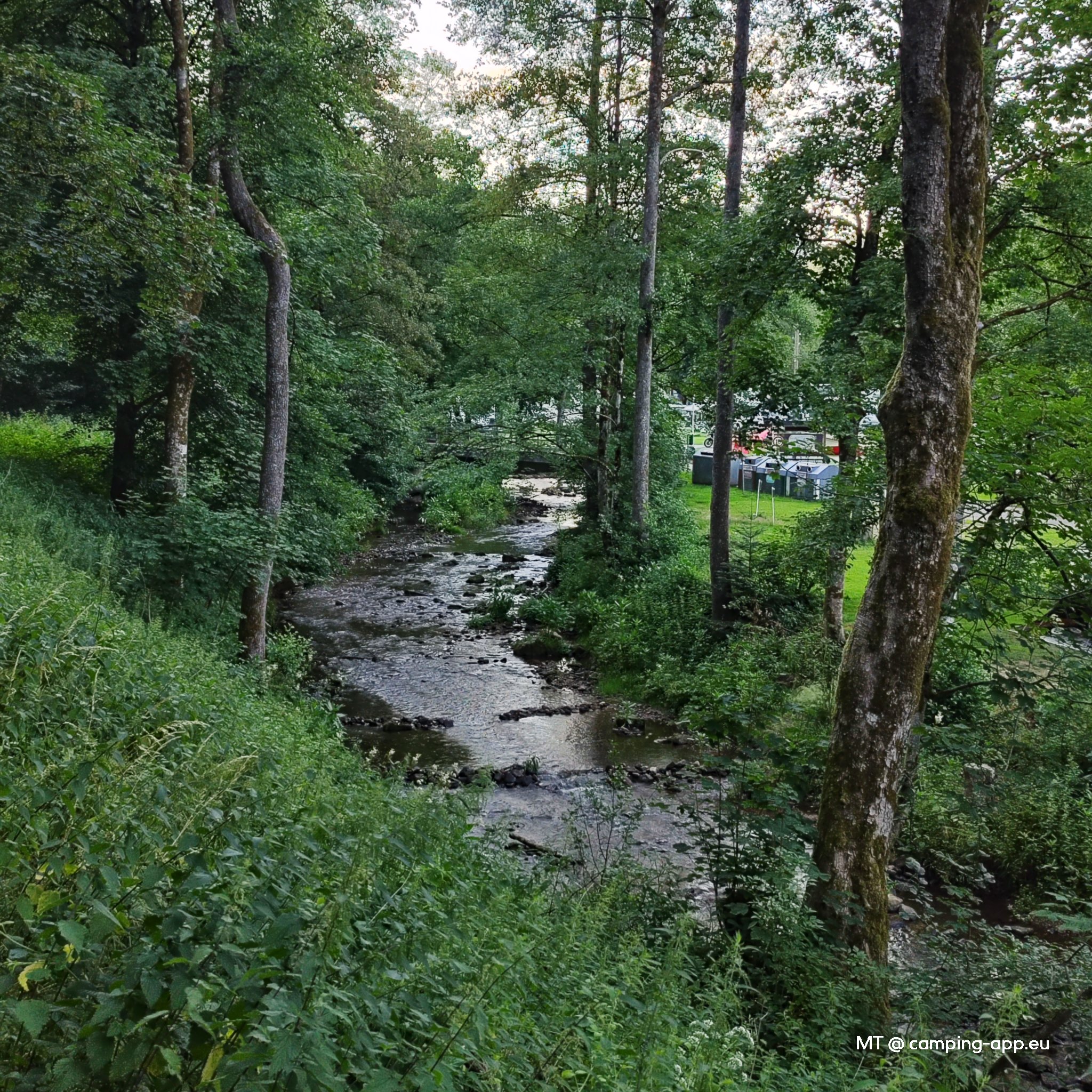 Camping Alpirsbach — Foto 4
