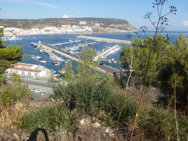 Sesimbra Parque Municipal de Campismo Forte do Cavalo — 露营地 in Sesimbra