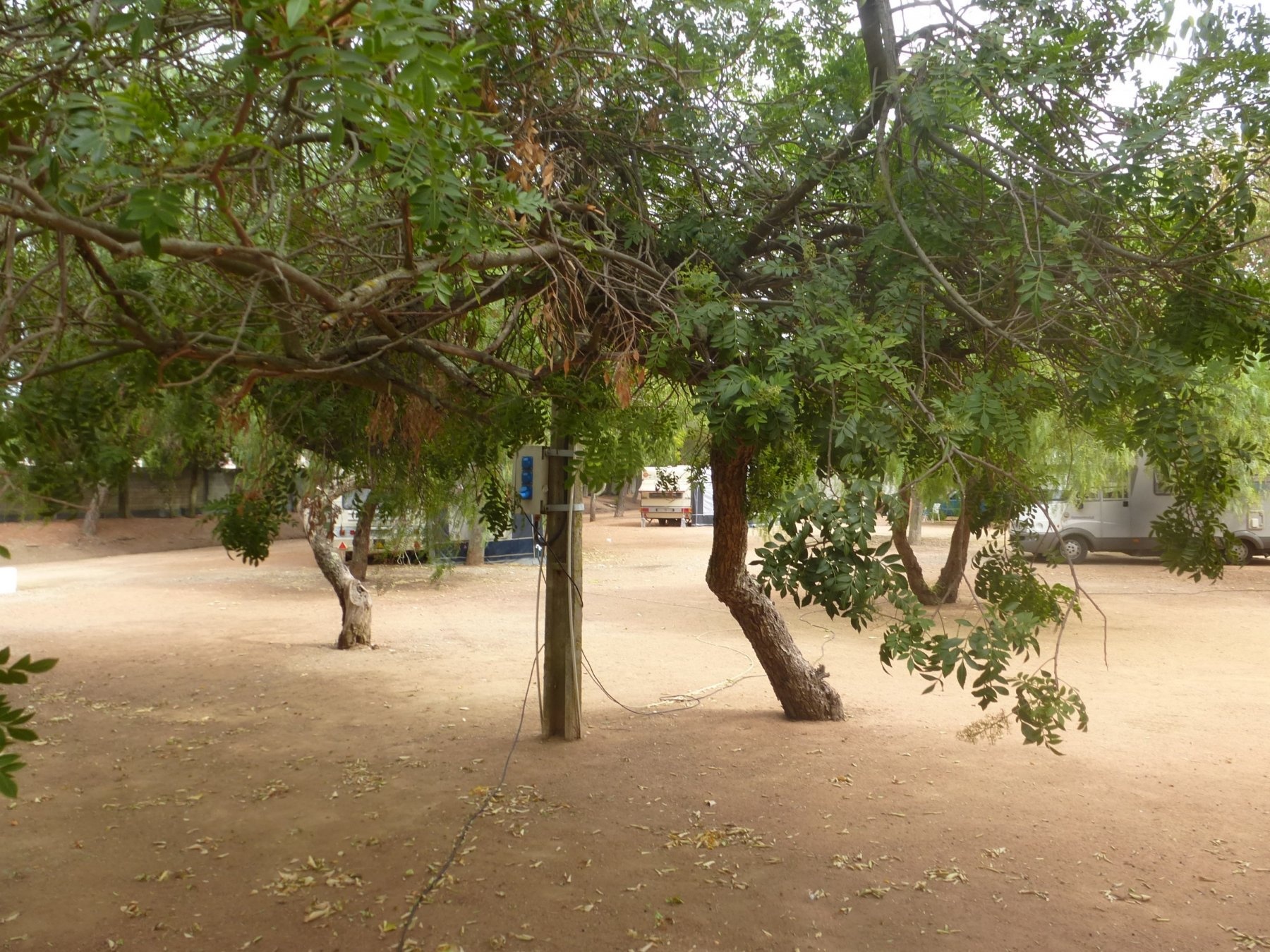 Parque Municipal de Campismo de Beja — Camping Site in Beja