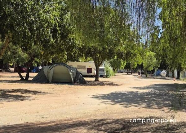 Parque Municipal de Campismo de Beja — Foto 3