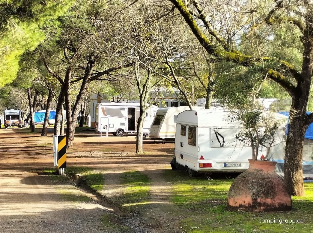 Parque Municipal de Campismo de Beja — Campingplads in Beja