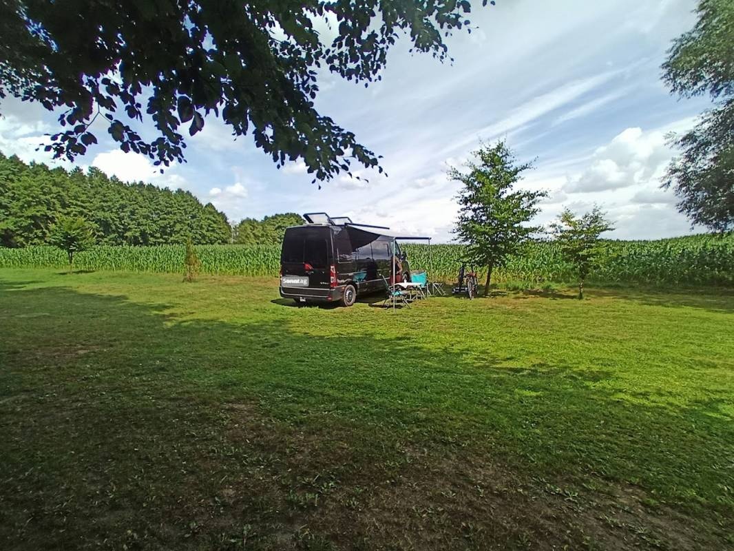 Naturcamping am Zotzensee — Campingplats in Mirow