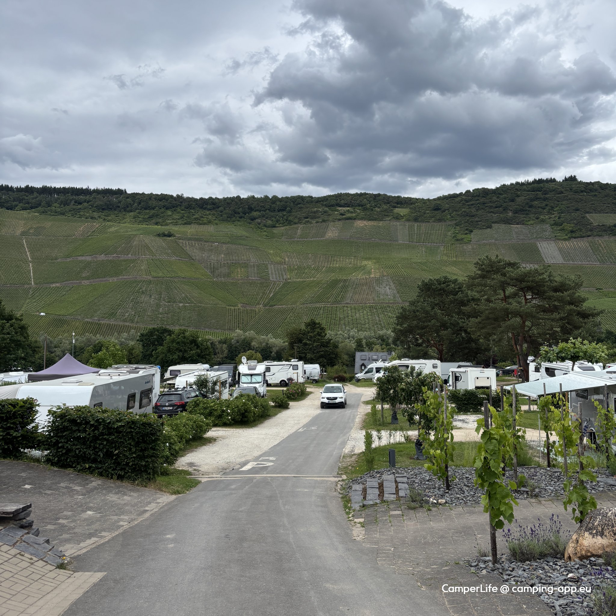 Mosel Camping Bernkastel (Adult only)