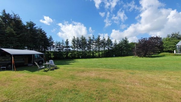 Bjerrely Fiskesø — Camperplads in Herning Municipality