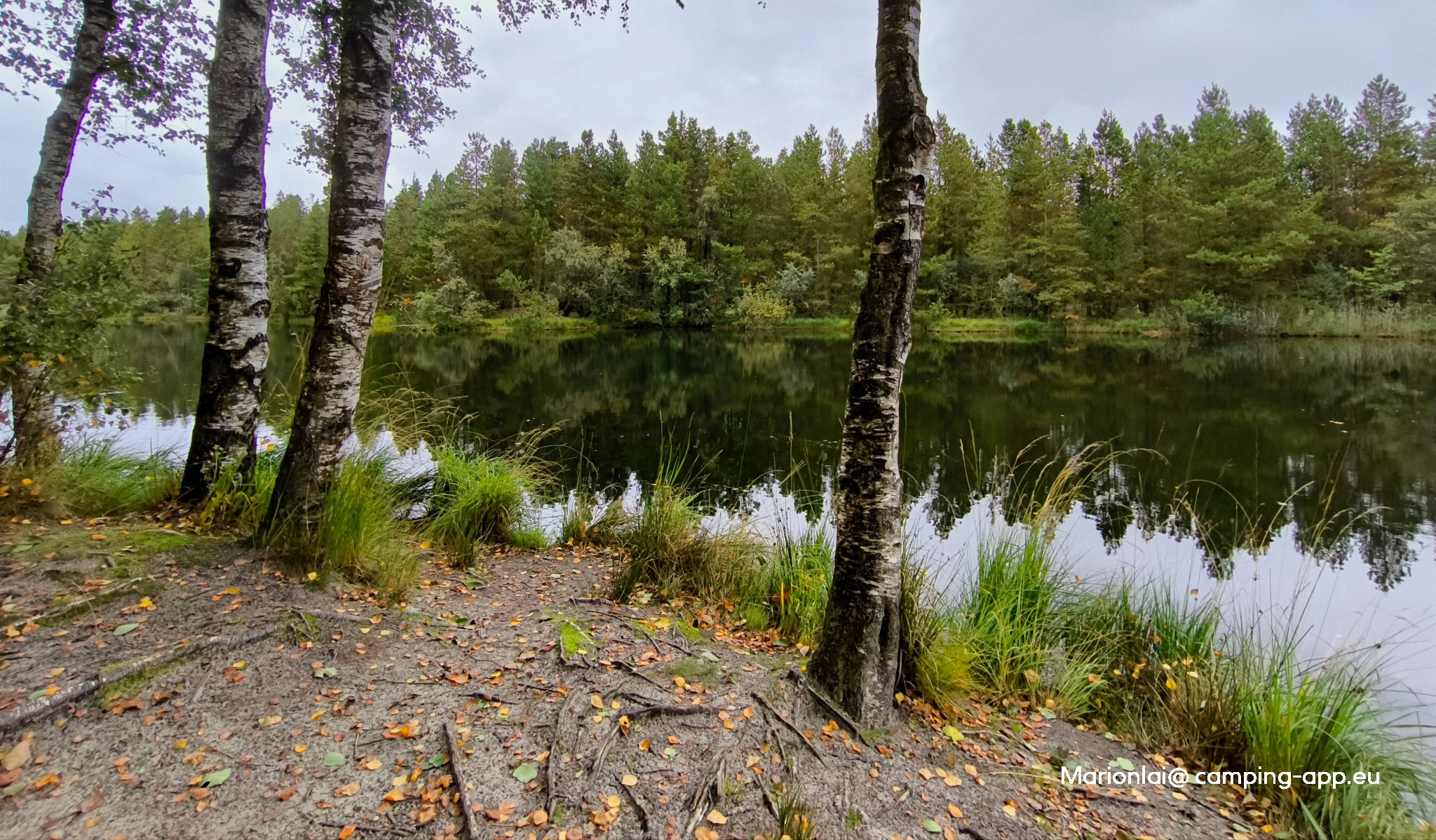 Bjerrely Fiskesø — Foto 2