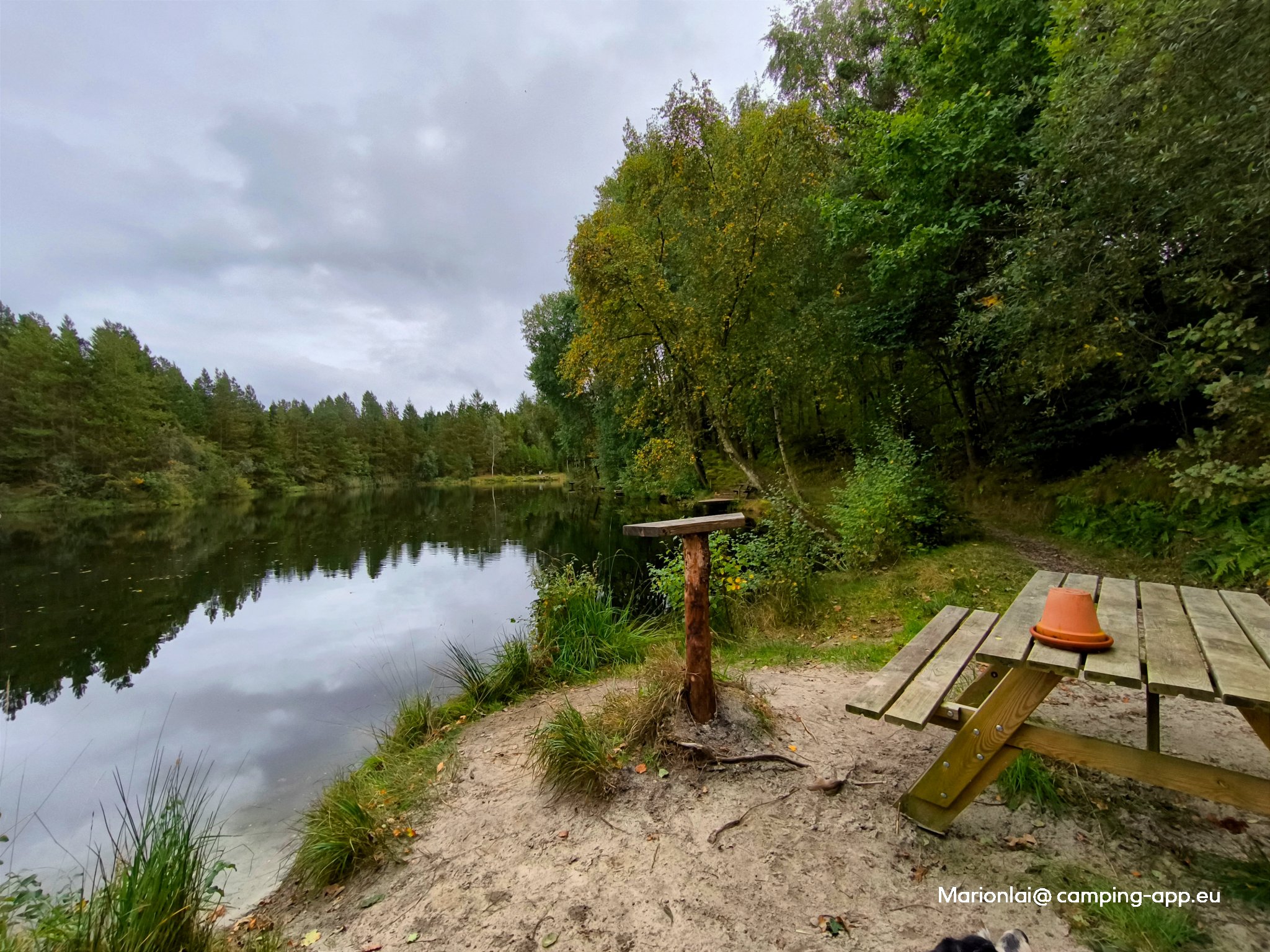 Bjerrely Fiskesø — Foto 4
