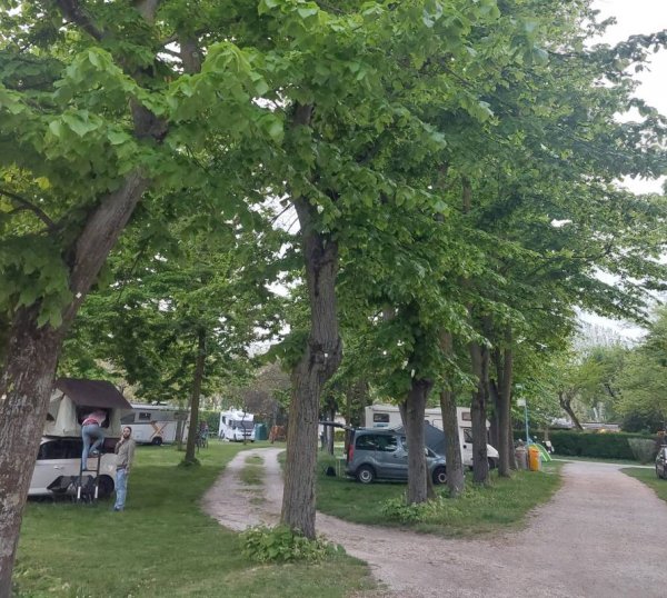 Camping Fusina — Photo 6