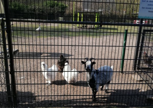 De Nieuwe Drenck — Campingplatz in Bergen op Zoom