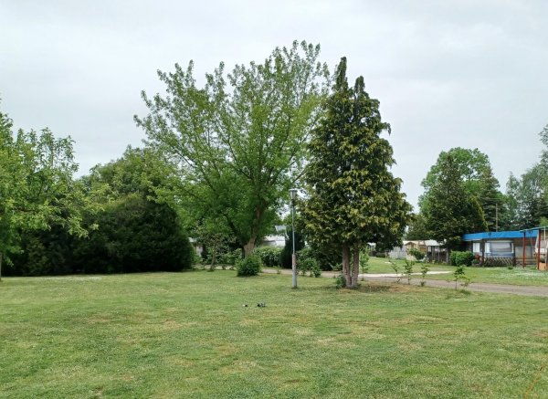 Campingplatz Am Hünstein — Photo 6