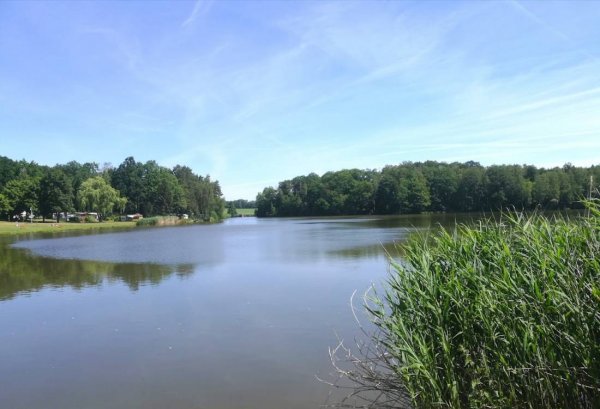 Ferienpark Thümmlitzsee — Photo 2